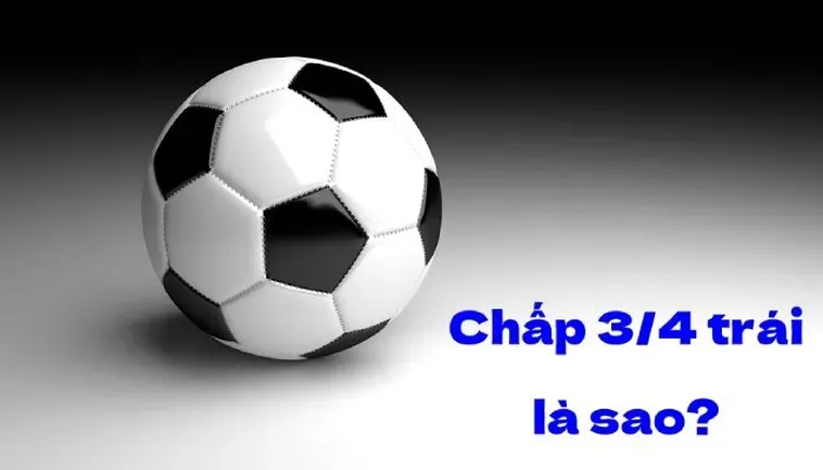 Tuyệt Chiêu Đánh Kèo Chấp 0.75 Giúp Người Chơi Tối Ưu Hóa Lợi Nhuận Cực Đỉnh