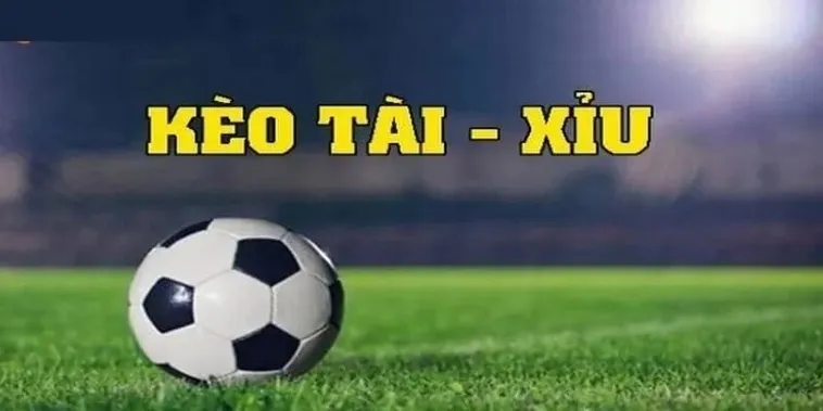 Hướng Dẫn Chi Tiết Cách Chơi Kèo Tài Xỉu Dành Cho Người Mới Bắt Đầu