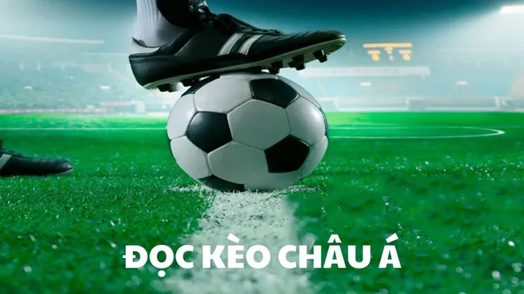 Hướng Dẫn Chi Tiết Cách Chơi Kèo Châu Á Dành Cho Người Mới Bắt Đầu