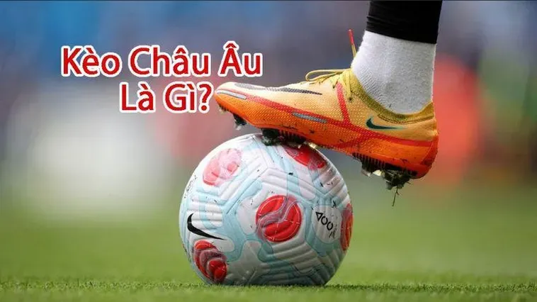 Hướng Dẫn Chi Tiết Cách Chơi Kèo Châu Âu Hiệu Quả Cho Mọi Người Chơi